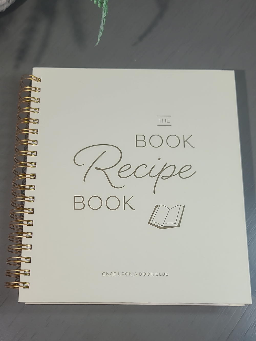 Recipe Book Journal with Gold Spiral -